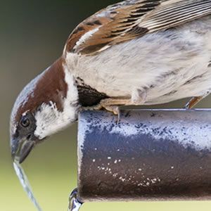Rohrreinigung Köln Rohrreinigung Köln